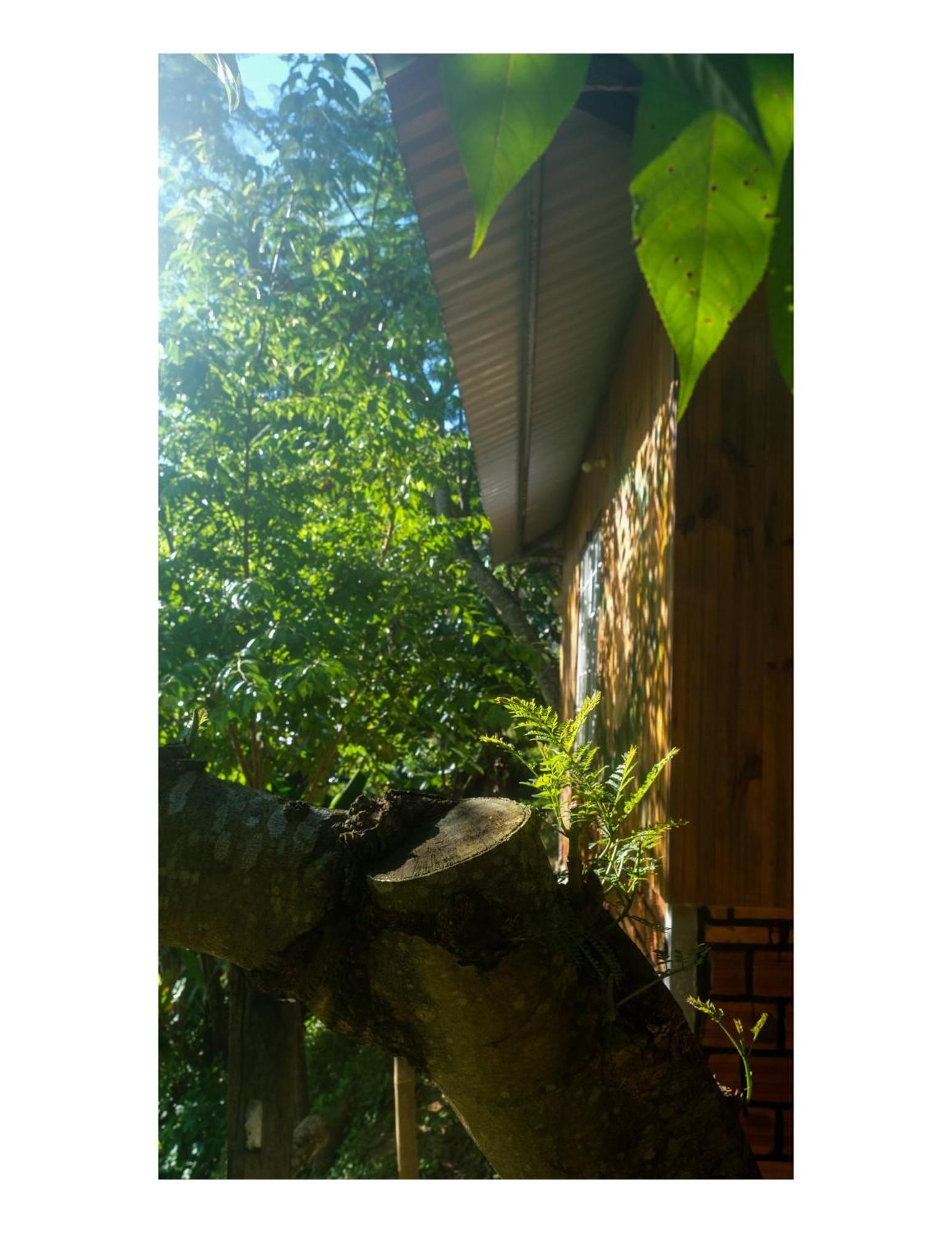 Nha Ben Ho - Da Lat Homestay מראה חיצוני תמונה