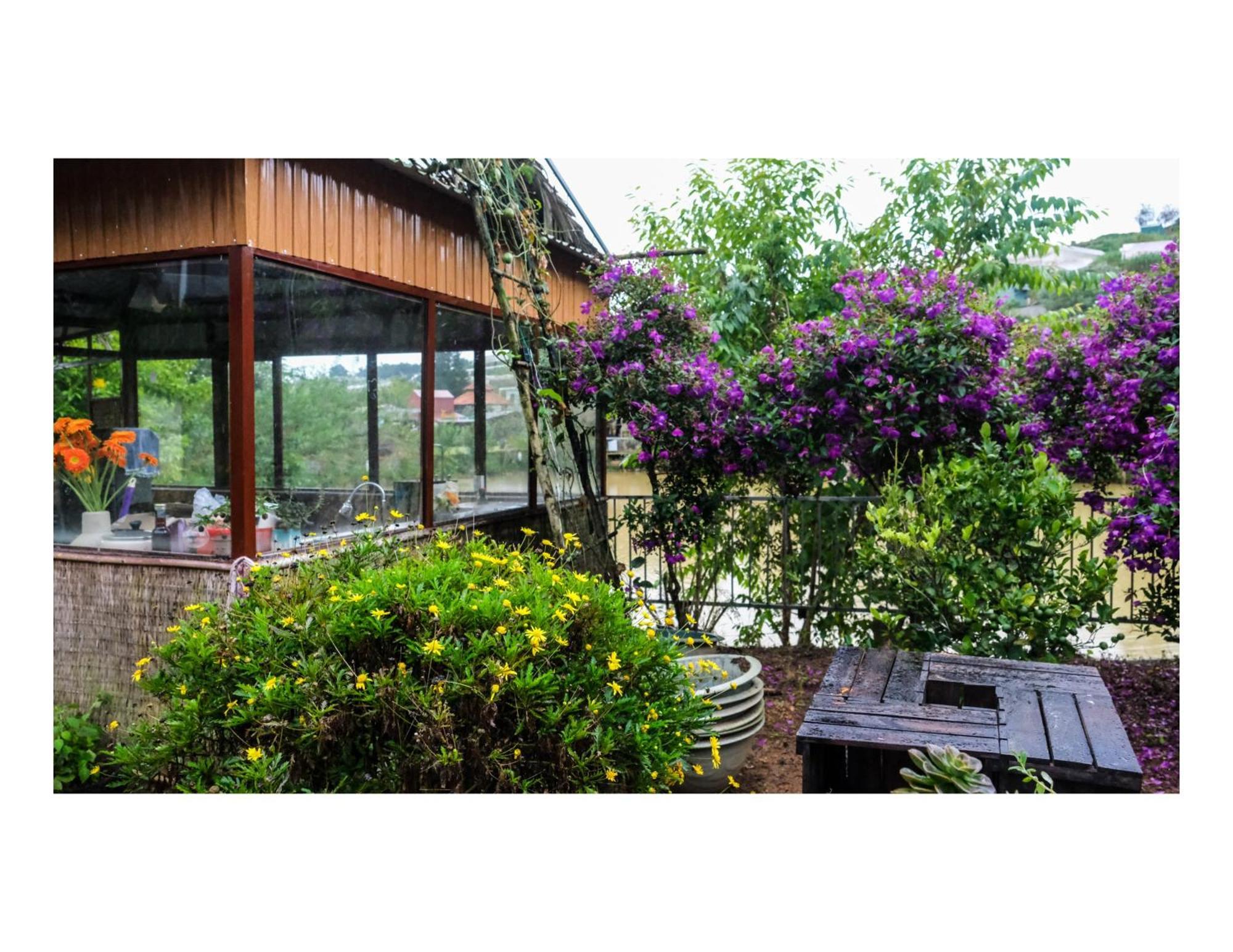 Nha Ben Ho - Da Lat Homestay מראה חיצוני תמונה