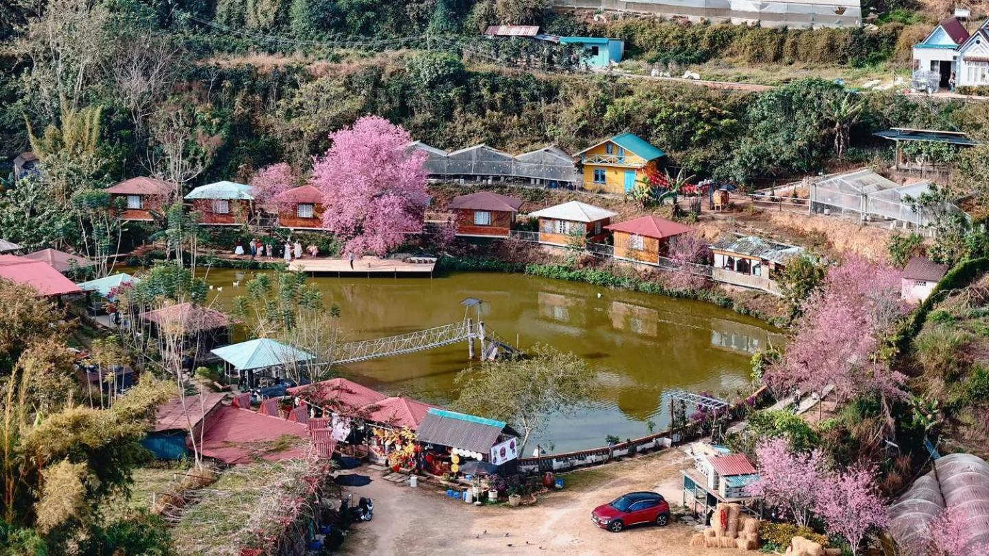Nha Ben Ho - Da Lat Homestay מראה חיצוני תמונה