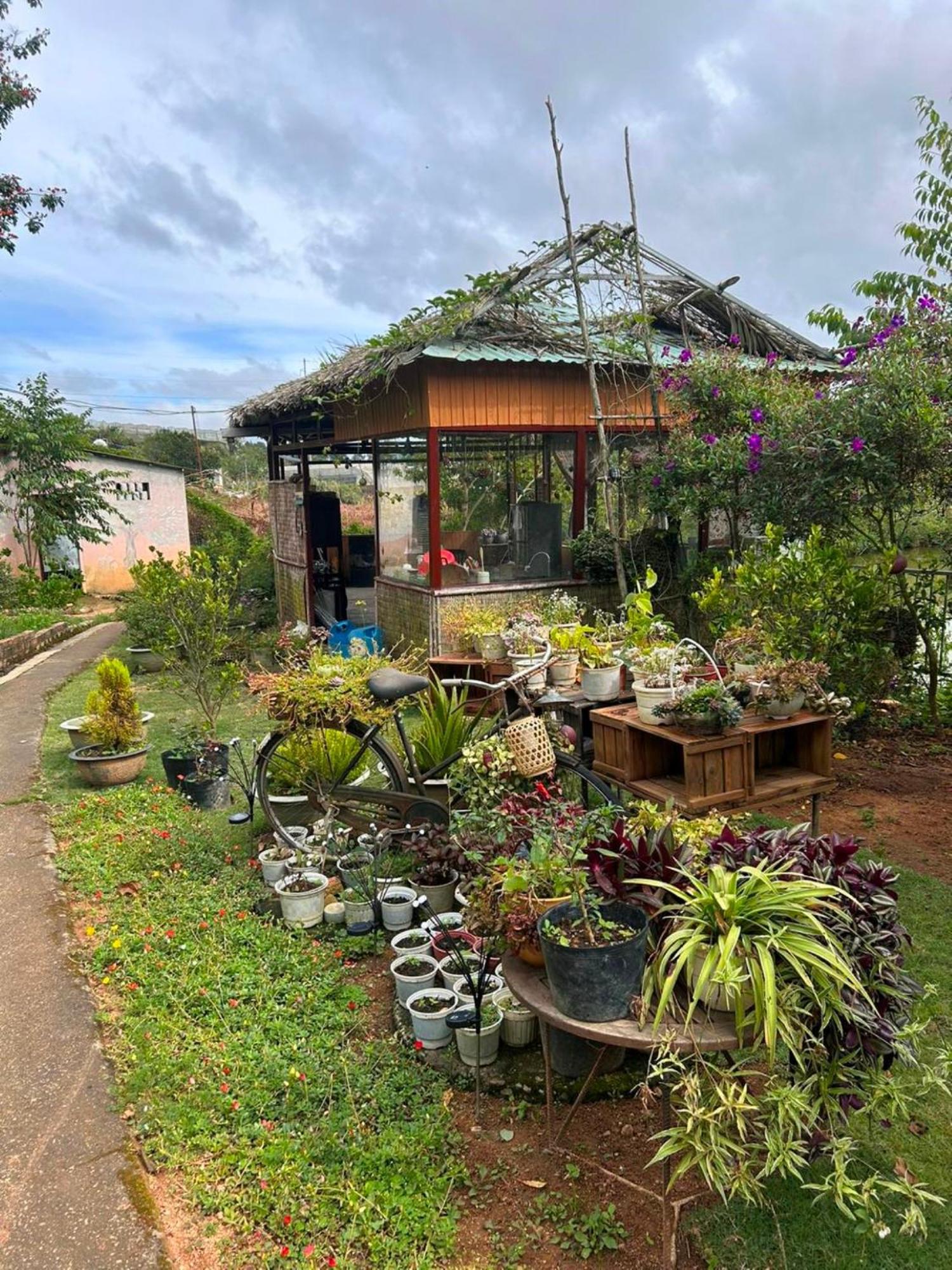 Nha Ben Ho - Da Lat Homestay מראה חיצוני תמונה