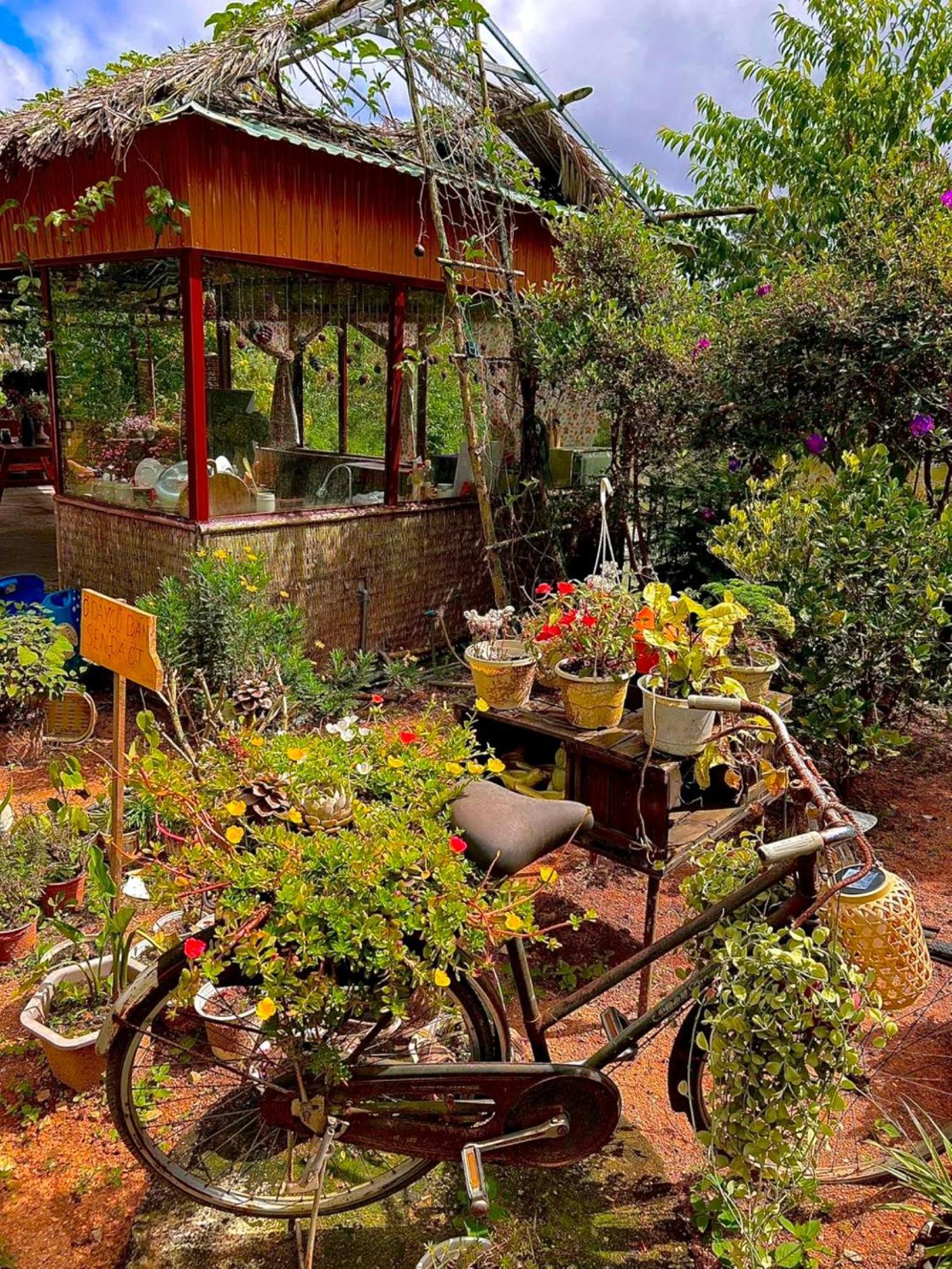Nha Ben Ho - Da Lat Homestay מראה חיצוני תמונה