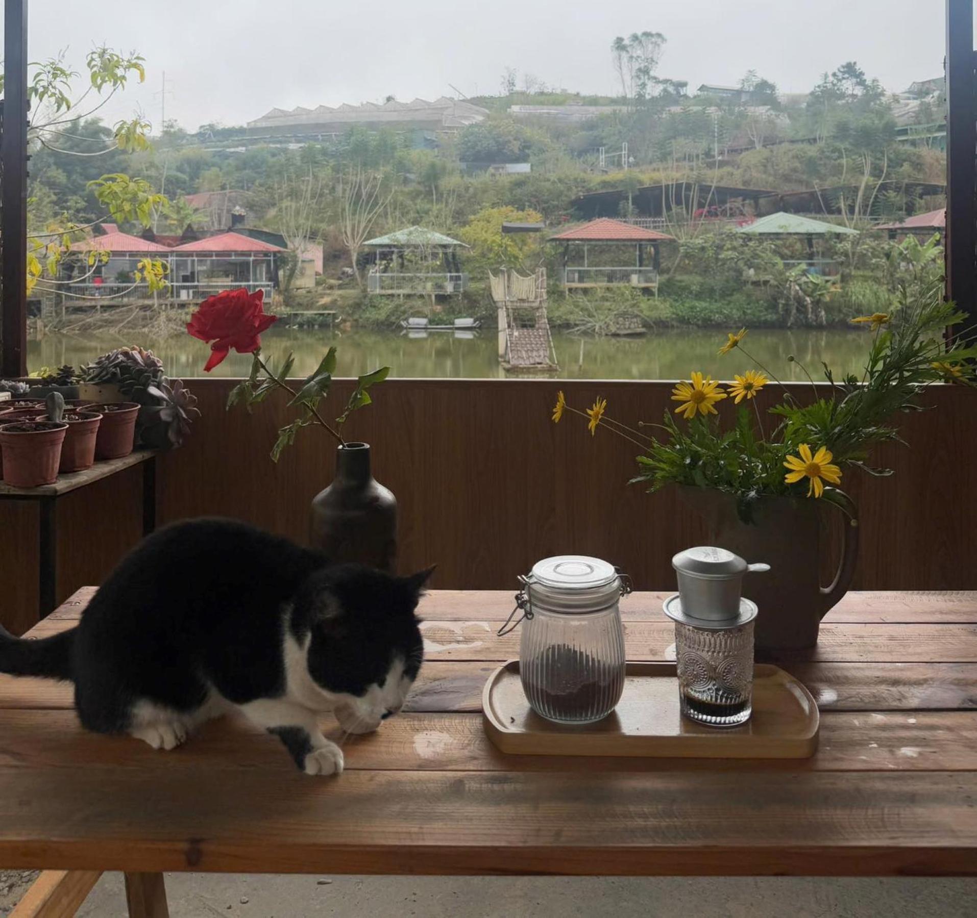 Nha Ben Ho - Da Lat Homestay מראה חיצוני תמונה