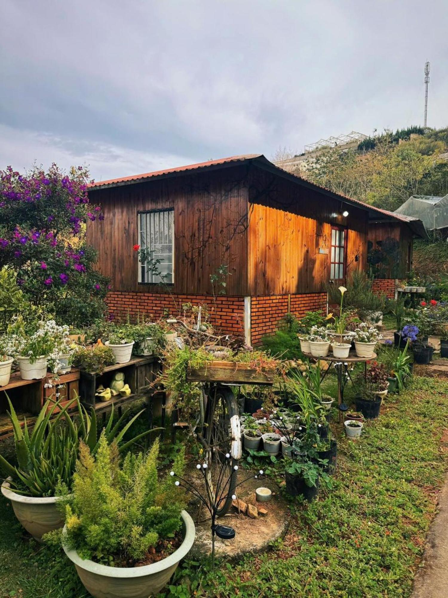 Nha Ben Ho - Da Lat Homestay מראה חיצוני תמונה