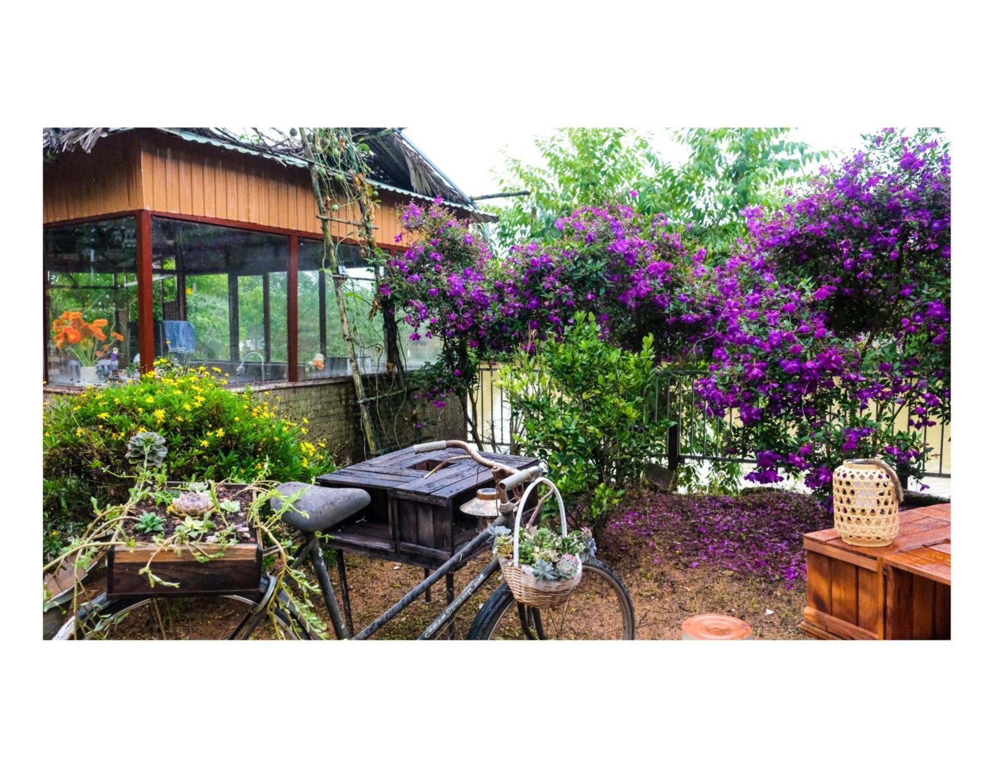 Nha Ben Ho - Da Lat Homestay מראה חיצוני תמונה