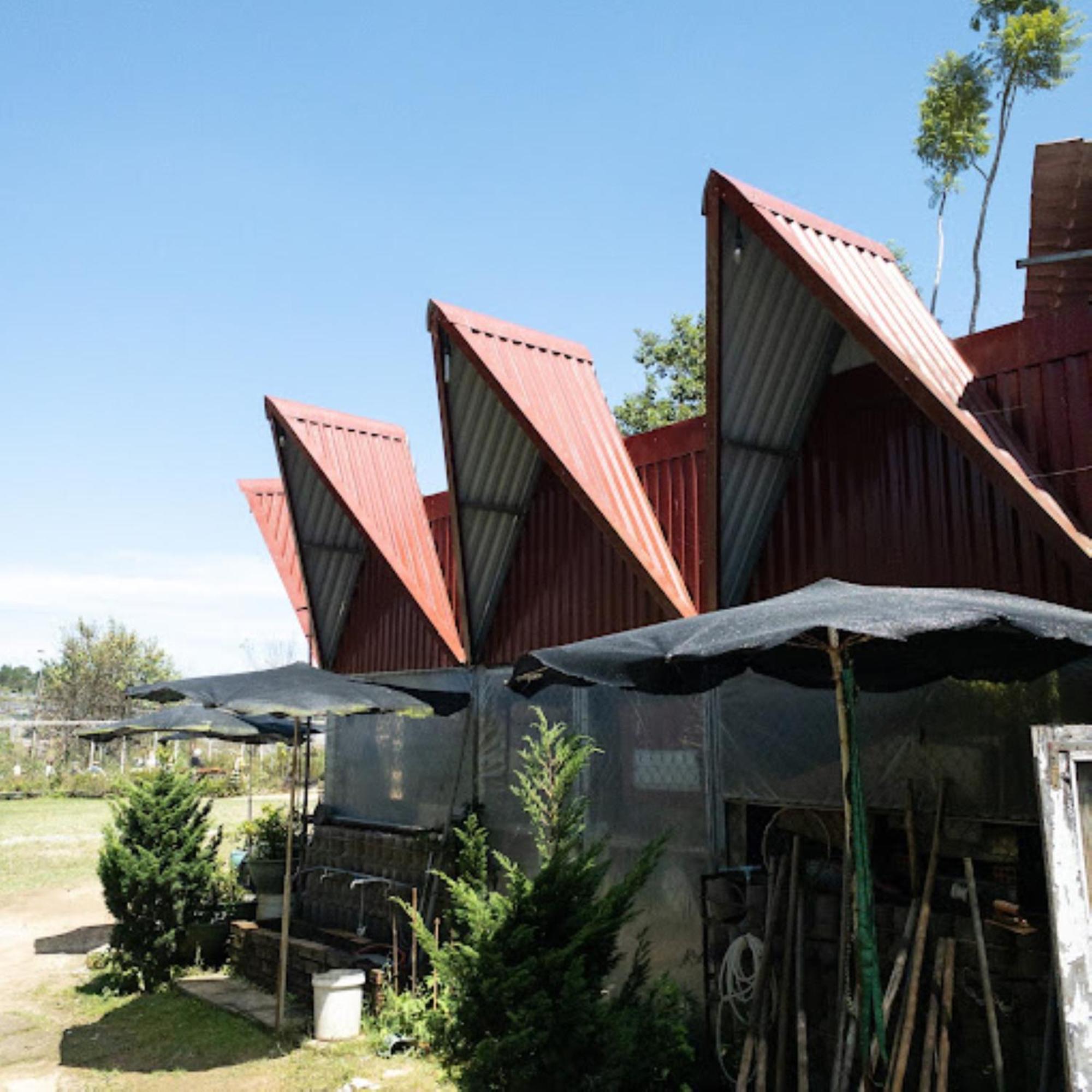 Nha Ben Ho - Da Lat Homestay מראה חיצוני תמונה